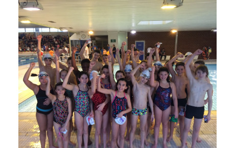 Natathlon #1 à Vannes